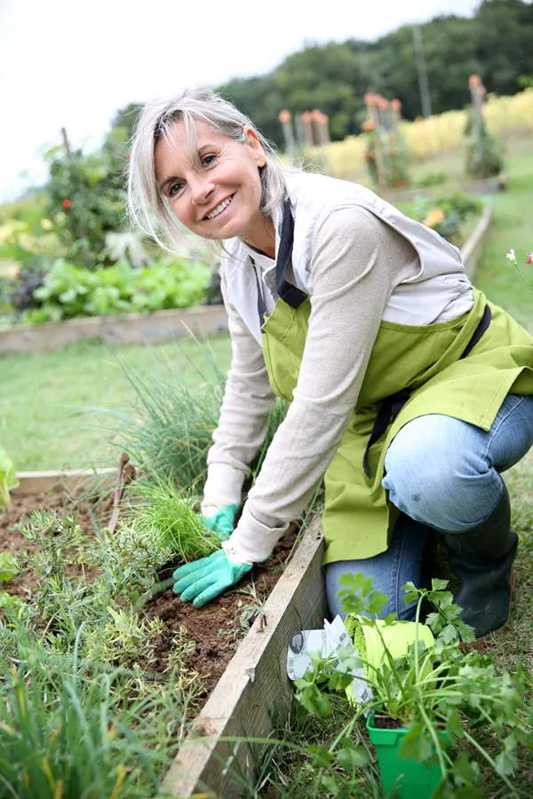 Rheumatoid-Arthritis-Treatment A mature woman bending down working on her garden happily after successful rheumatoid arthritis treatment from Pierre Rojas, DO in South Lyon.